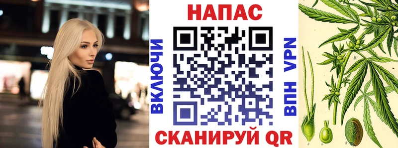 Какие есть наркотики Ветлуга Альфа ПВП  Псилоцибиновые грибы  ГАШ  Меф 