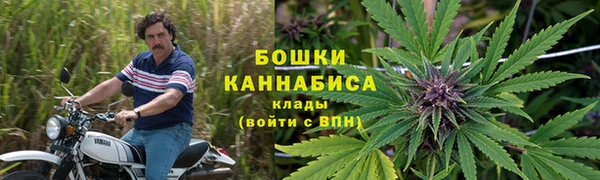 гидропоника Алзамай