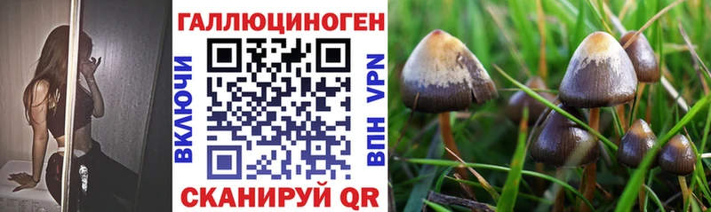 Галлюциногенные грибы мухоморы  как найти закладки  Ветлуга 